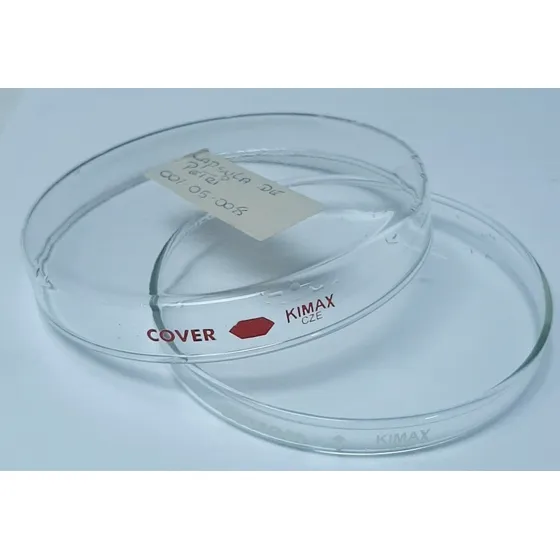 Placas Cápsulas Cultivo Petri Vidrio Solo Base Bottom Kimax