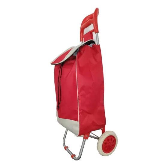 Carrito Para Mercado Tipo Bolso Grande Kr
