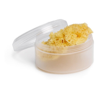Esponja Natural De Mar Con Estuche Suavinex Esponja Natural De Mar Con Estuche Suavinex