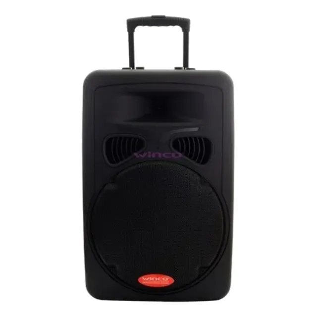 Parlante Winco W1928usb Con Bluetooth 450w Negro 220v
