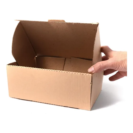 Caja Hamburguesa Sanwichs Lomito Empanada 23*15*9 (50 Unid)