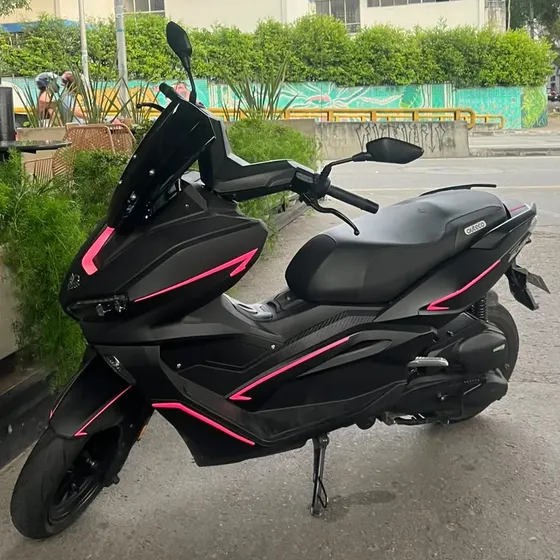 Victory New Black / 2024