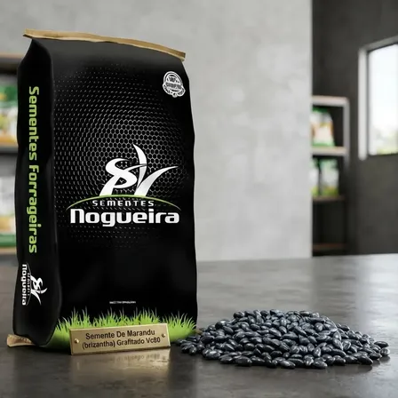 10kg - Semente De Marandu (brizantha) Grafitado Vc80