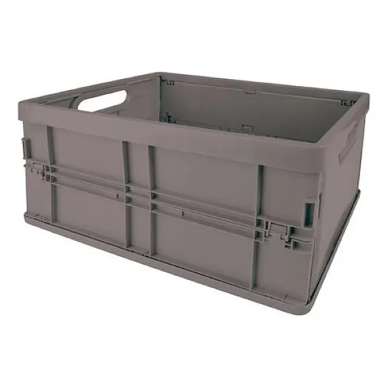 Caja Organizadora Plegable Chica Mor