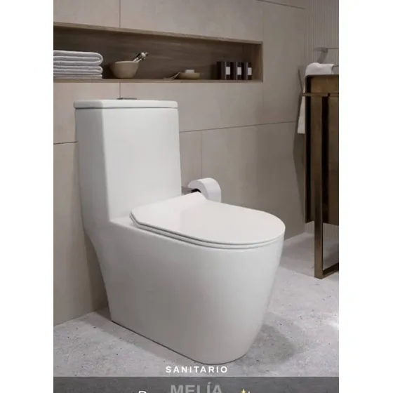 Sanitario Melia Blanco 77x68x37