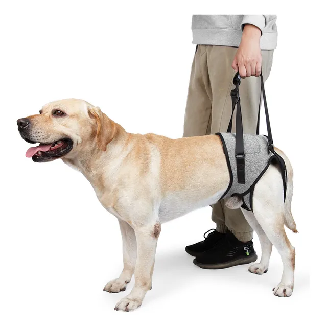 Arnés Grande Para Perros, Ideal Para Pasear O Mascotas Disca