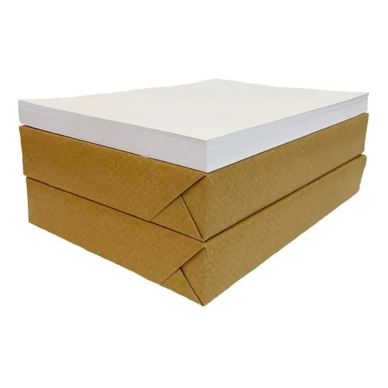 Papel Offset 240g Branco Sulfite A4 21x29,7cm 100 Folhas 