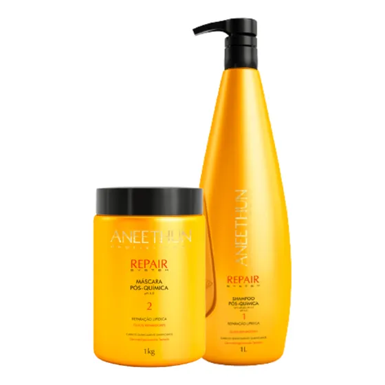 Kit Shampoo E Mascara Repair Aneethun Litro