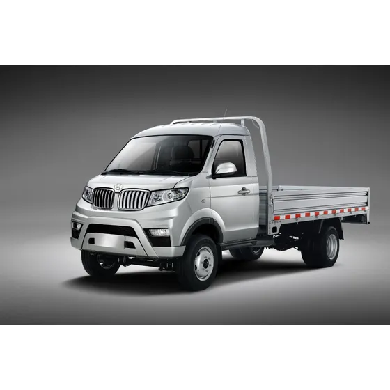 Shineray T30 T30 Minitruck Cab Simple