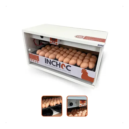 Picador De Ovos Automático Inchoc Chocadeira Deluxe Para 50 Ovos E Frango Com Codorna Cor Branco 220 V 220v