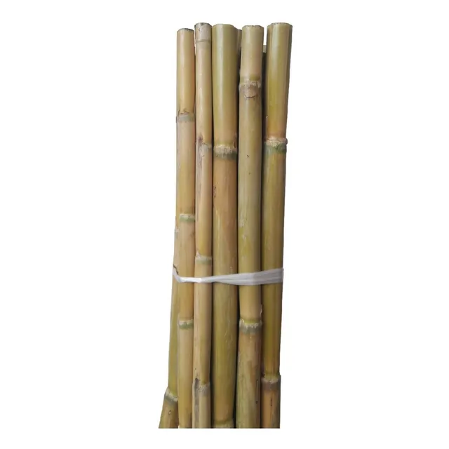 Tutor Caña Carrizo 1.75 Mt / Ø 2.5cm Aprox Pack X 22 Und