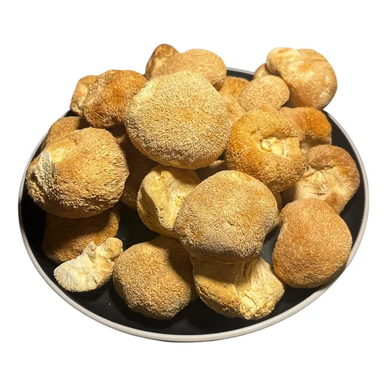 Melena De Leon - Hongo Entero Deshidratado 100g
