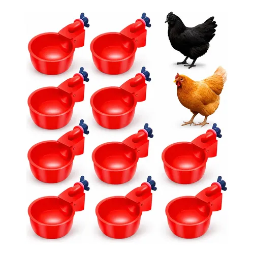 Zdx Chick Feeder With Hinged Lid, 12 Holes, Plastic | MercadoLivre