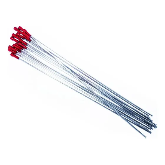 Rayos Wh-rs10-s  Shimano Talla: Unidad