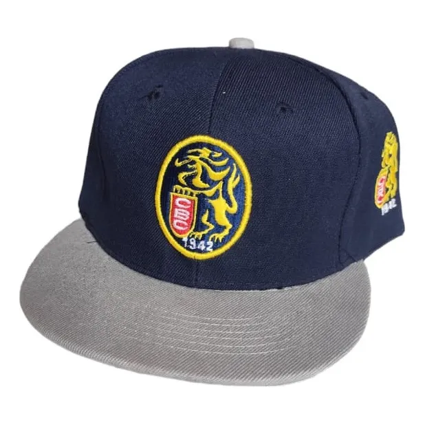 Gorra Plana Leones Del Caracas Ajustables Aaa Grises