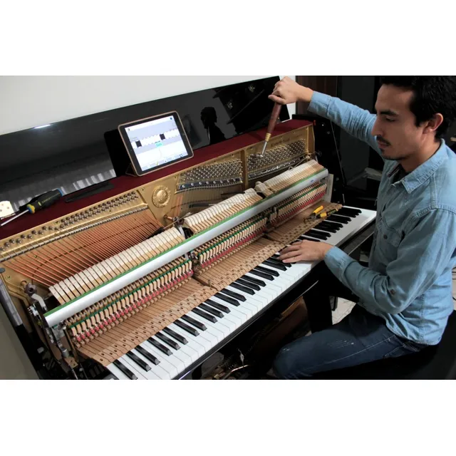 Bogotá Piano Workshop: Afinación Reparación Pianos Acústicos