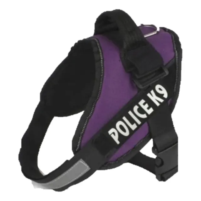 Arnés Y Pechera Mascota Perro Reflectivo Ajustable Talla S