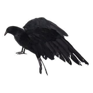 Para Zz Plumas De Halloween Con Forma De Pájaro Cuervo, Para Zz Plumas De Halloween Con Forma De Pájaro Cuervo,