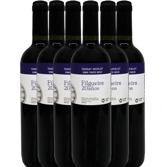 6 Botellas Vino Tannat-merlot 20 Años Bodega Filgueira