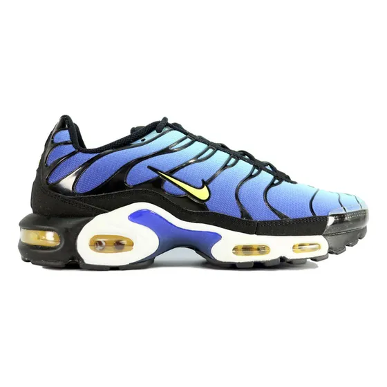 Zapatillas Nike Air Max Plus Tn Hyper Urbano 604133-475   