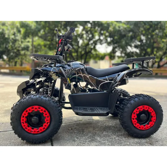 Cuatrimoto A Gasolina Para Niños 50cc