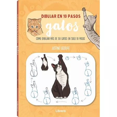 Dibujar En 10 Pasos - Gatos