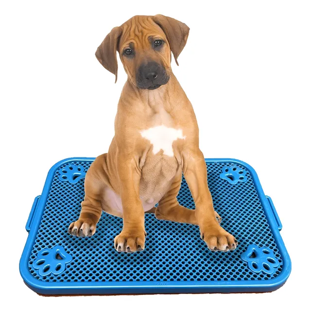 Bandeja Sanitaria Plana Para Perro 60 X 40 Cms Extraíble 