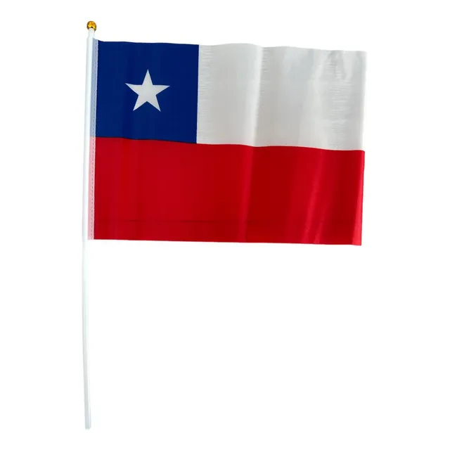 Pack De 12 Banderas Chilenas Para Auto Y Ventanas 20x30 Cm