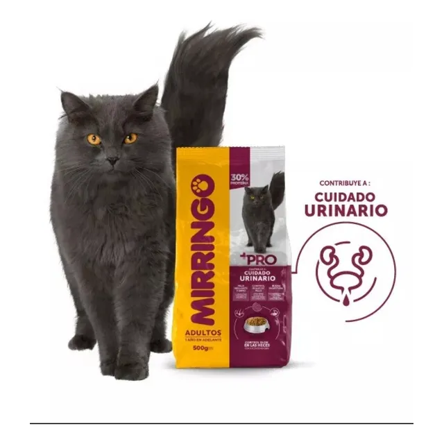 Gatarina Mirringo Pro De 8 Kilos