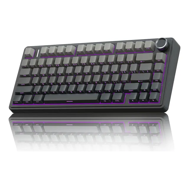 Aula F75 Pro Teclado mecánico inalámbrico, 75% Teclado mecánico RGB de 2,4 GHz/USB-C/BT5.0, Teclado Gamer Intercambiable con interruptores prelubricados y Teclas PBT
