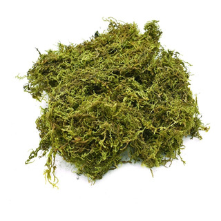Musgo Natural Deshidratado Verde 100 Gramos Arreglo Floral Musgo Natural Deshidratado Verde 100 Gramos Arreglo Floral