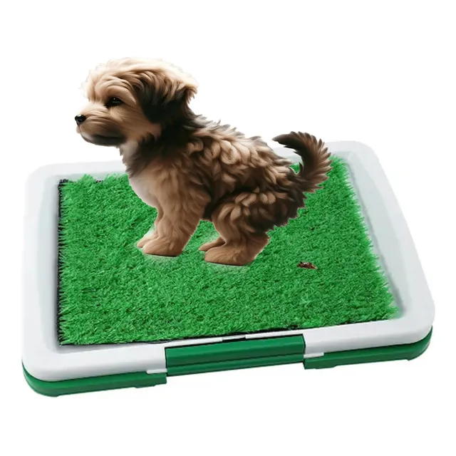Bandeja Sanitaria Pichi Perro Cachorro Perra Baño Canino 