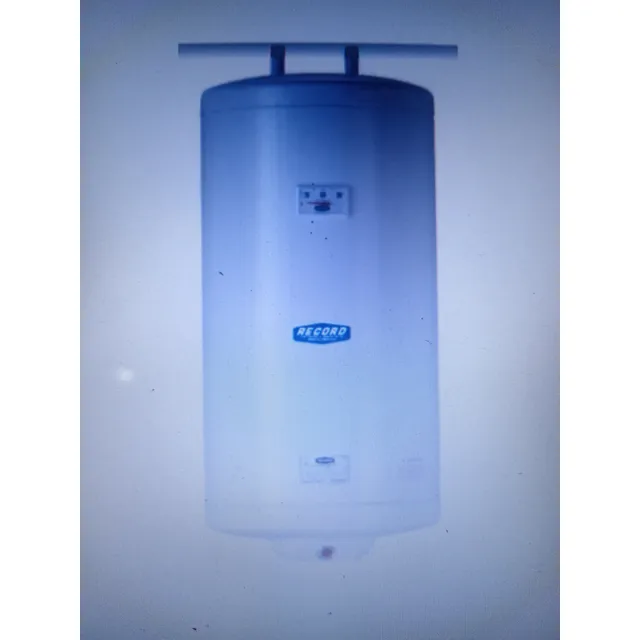 Calentador De Agua Record 50 Lts