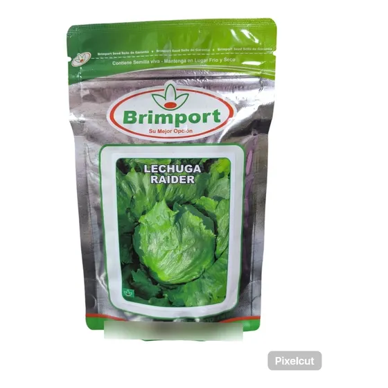 Semillas De Lechuga Certificadas