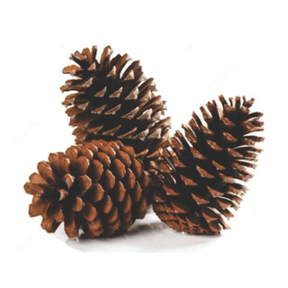 Pinha De Natal Com 30 Unidades Pinha De Natal Com 30 Unidades