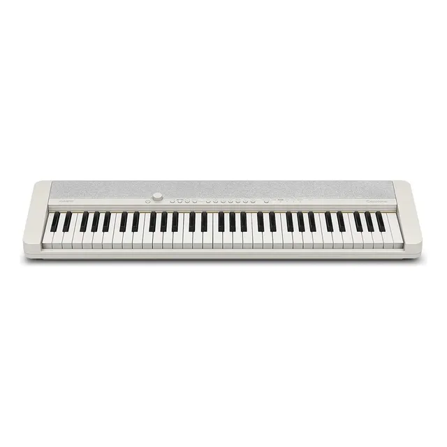 Teclado Casio Con Paral Profesional Prácticamente Nuevo