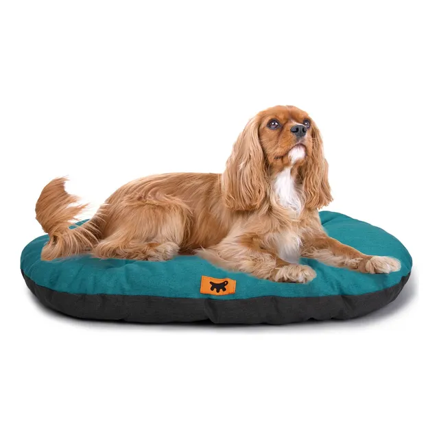 Cama Cucha Almohadón Mascotas Ferplast Relax 85x55 Turquesa