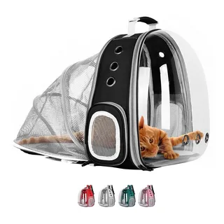 Bolso para gatos mercadolibre hotsell