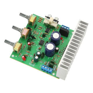 Placa Modular Amplificadora De Doble Canal Hifi Power Amplif Placa Modular Amplificadora De Doble Canal Hifi Power Amplif