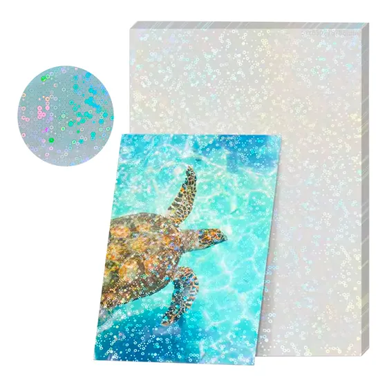 Papel Adhesivo Holográfico Laminador A4 X20 Hojas