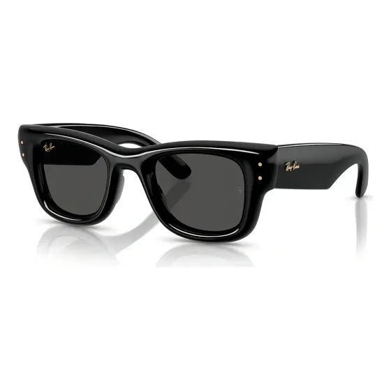 Lente De Sol Rayban Wayfarer Puffer Rb4940 Por A$ap Rocky Teñido Negro Gris Oscuro Negro Pulido Negro Pulido | Cuotas sin interés