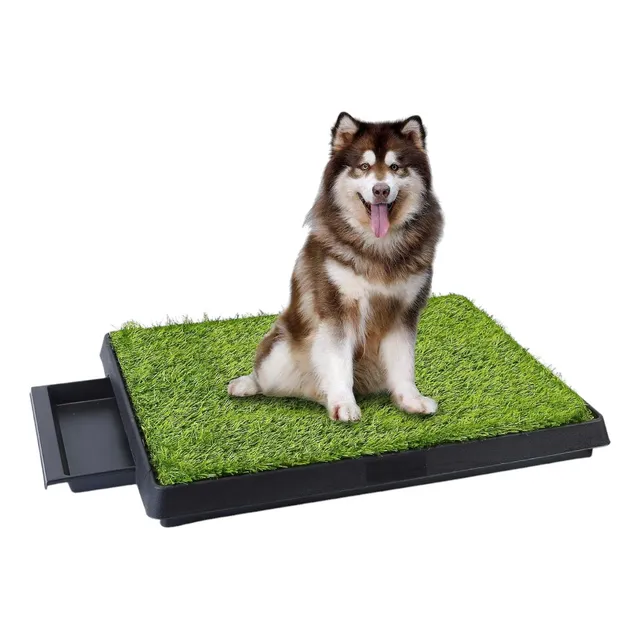 Baño Ecológico Portátil Grande Pet Potty Con Bandeja+regalo