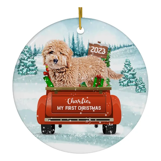 Bienvenida De Invierno Mini Goldendoodle Cachorro Mis P...