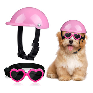 Pequeño Perro Mediano Lentes Casco De Moto Pequeño Perro Mediano Lentes Casco De Moto