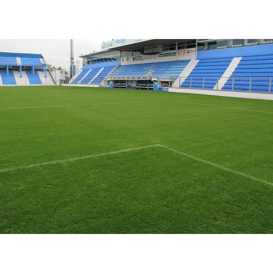 Semillas Mezcla Cancha De Fútbol X 20 Kg. 