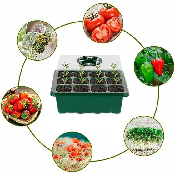 Kit Huerta: Mini Invernadero, Sustrato Germinación