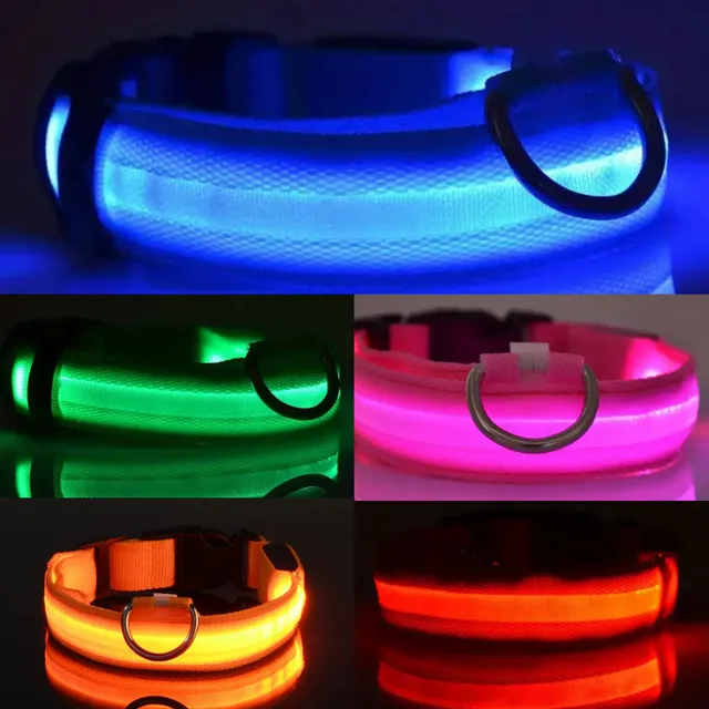 Collar Con Luz Led Perro Mascota