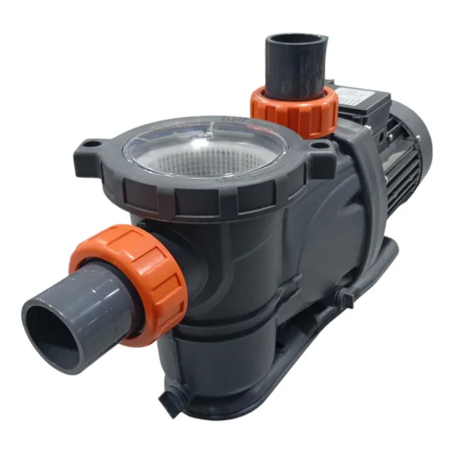 Bomba Leo Autocebante Para Piscinas 2 Hp 1 Año De Garantía