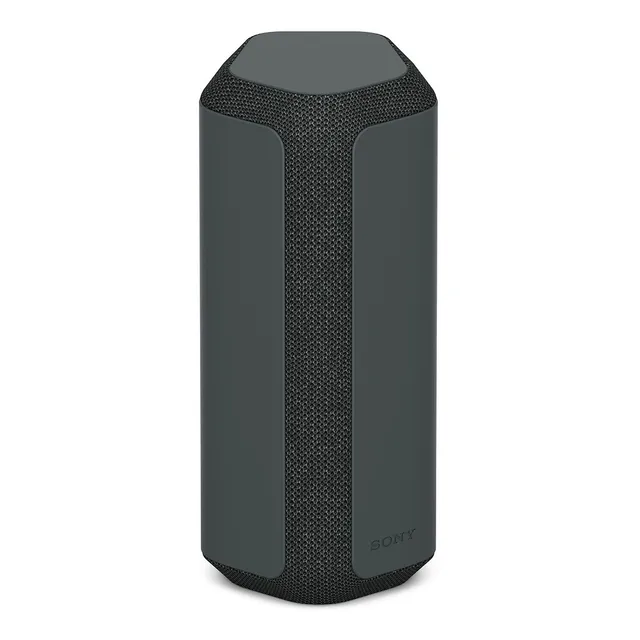 Parlante Sony Serie X SRS-XE300 SRS-XE300 portátil con bluetooth waterproof negra 220V