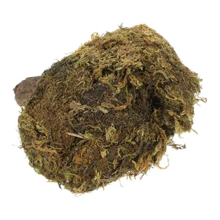 1 Bolsa De Material De Musgo Hecho A Mano Con Césped Tipo Li 1 Bolsa De Material De Musgo Hecho A Mano Con Césped Tipo Li